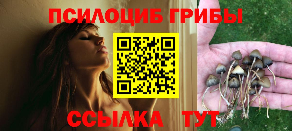 Псилоцибиновые грибы мухоморы  Вход с VPN  Нововоронеж  Псилоцибиновые грибы MAGIC MUSHROOMS 