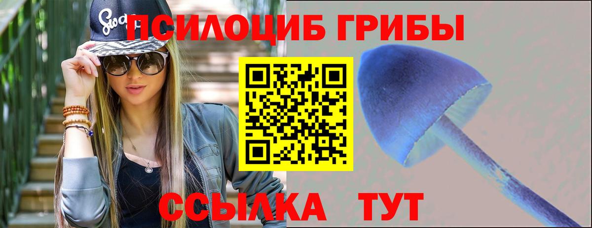 Псилоцибиновые грибы Psilocybine cubensis Нововоронеж
